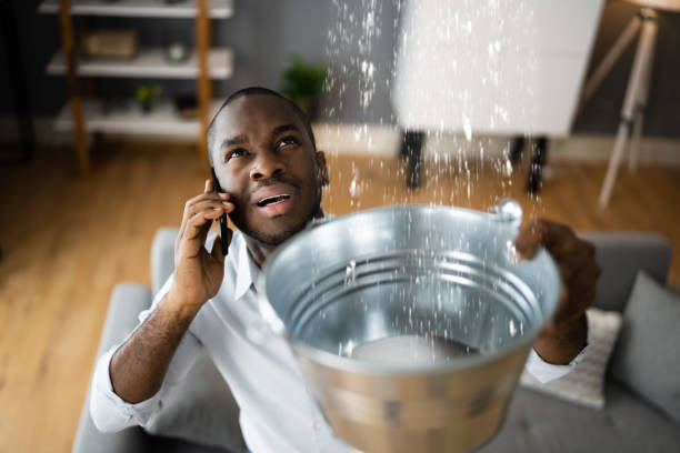 Best Water damage restoration services  in Frazeysburg, OH