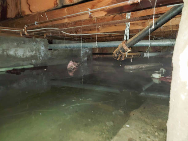  Frazeysburg, OH Water damage restoration Pros