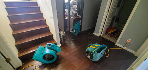 Best Mold removal after water damage  in Frazeysburg, OH