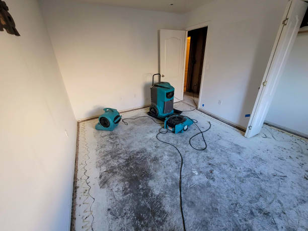 Best Local water damage restoration  in Frazeysburg, OH