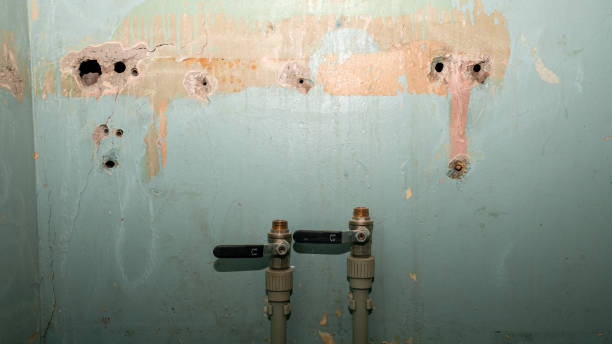 Best Water damage restoration near me  in Frazeysburg, OH