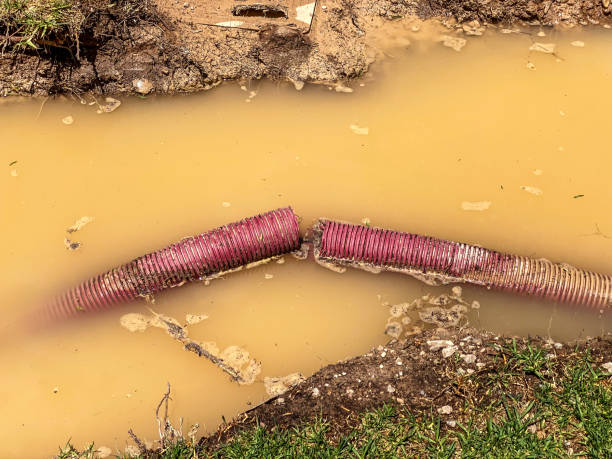 Best Flood damage cleanup  in Frazeysburg, OH